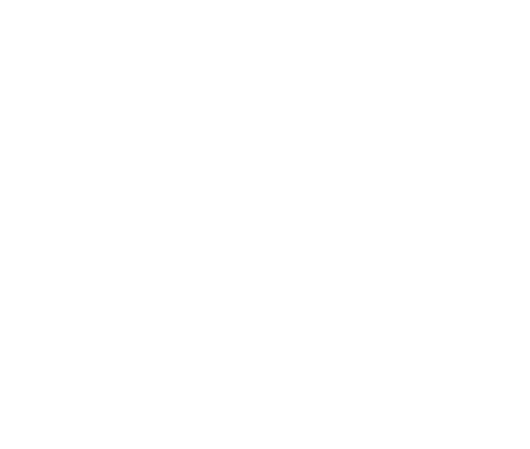 logo (1)